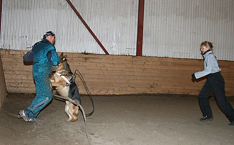 Training in Estonia 3/2007